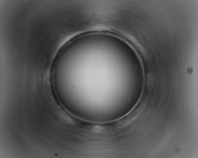 X0000103491412200809121703