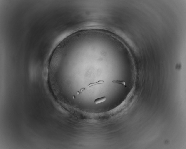 X0000103491413200809121703