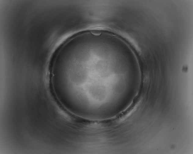 X0000103491414200809121703