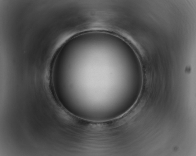 X0000103491415200809121703