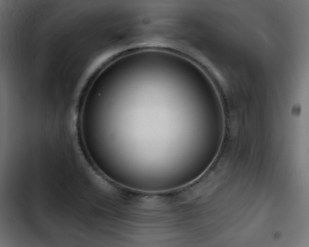 X0000103491416200809121703