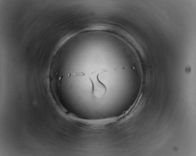 X0000103491417200809121703