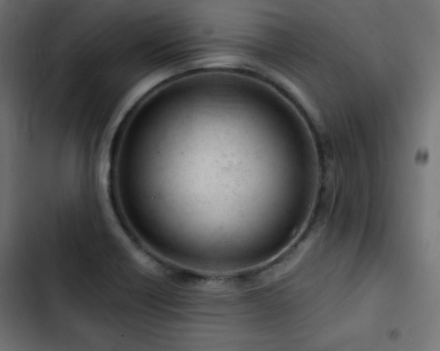 X0000103491418200809121703