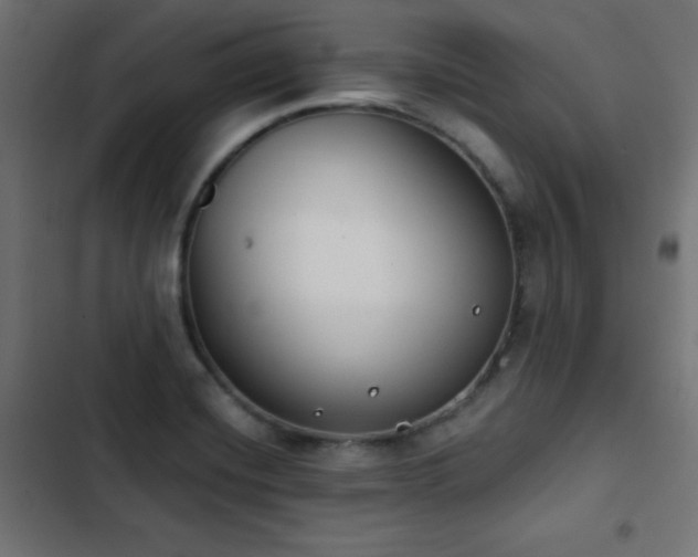 X0000103491420200809121703