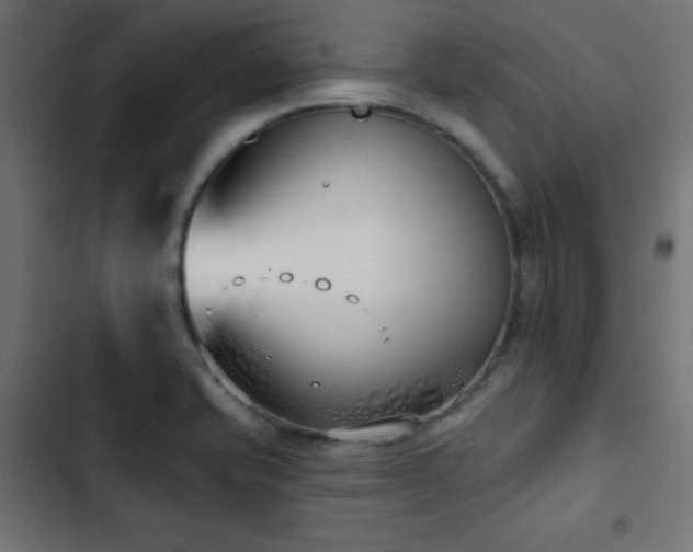 X0000103491421200809121703