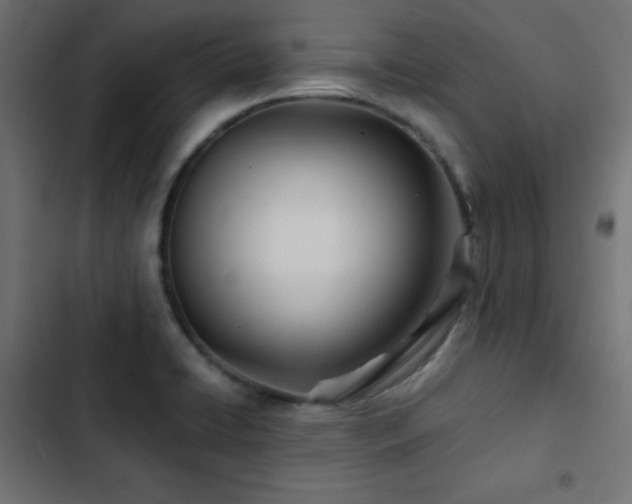 X0000103491422200809121703