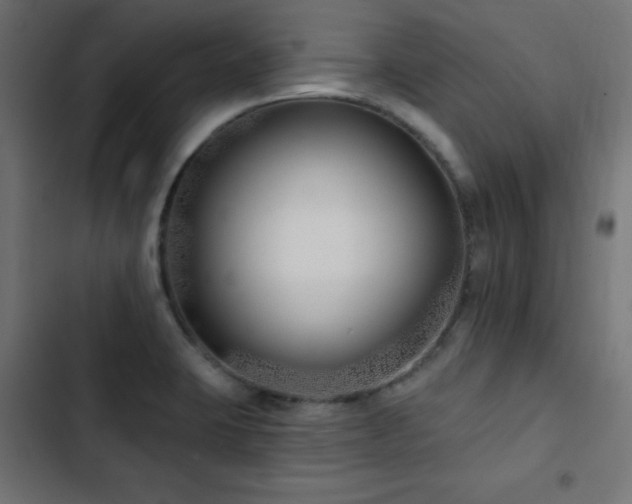 X0000103491423200809121703