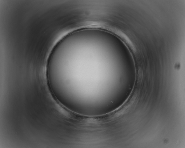 X0000103491424200809121703