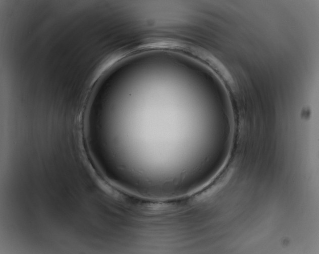 X0000103491425200809121703