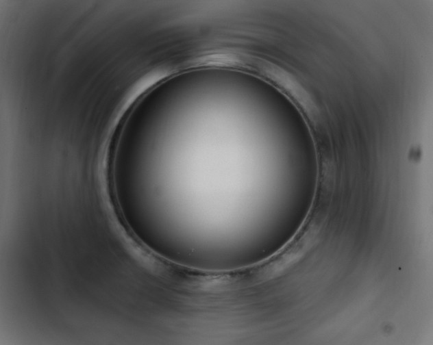 X0000103491426200809121703