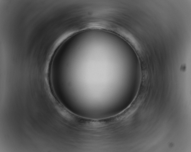 X0000103491427200809121703