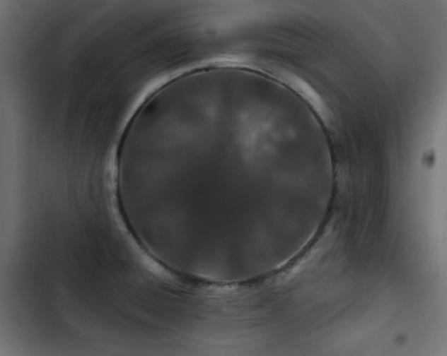 X0000103491428200809121703