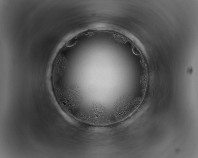 X0000103491429200809121703