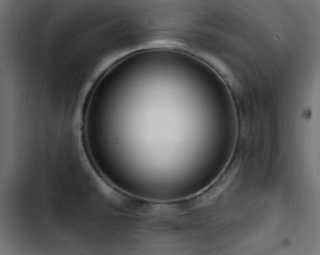 X0000103491430200809121703