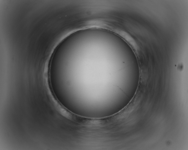 X0000103491431200809121703