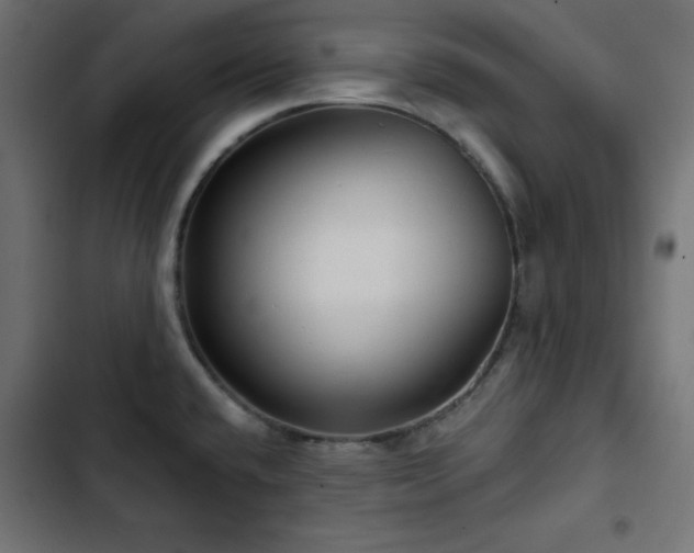 X0000103491432200809121703