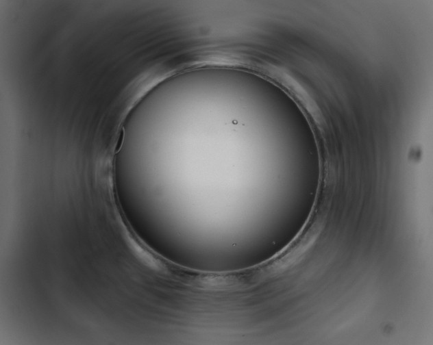 X0000103491433200809121703