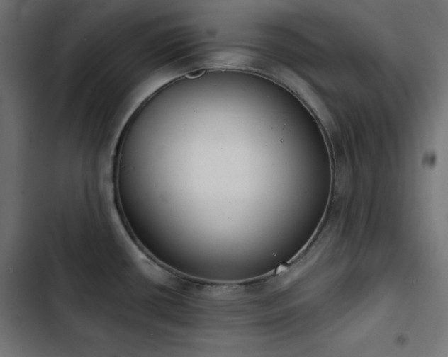 X0000103491434200809121703