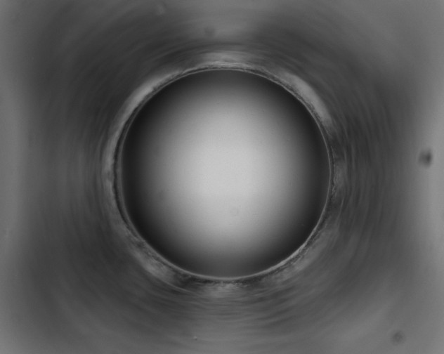 X0000103491435200809121703