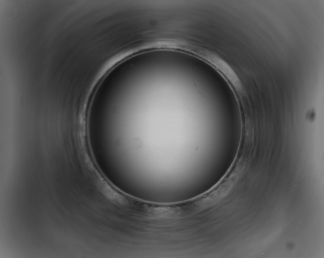 X0000103491436200809121703