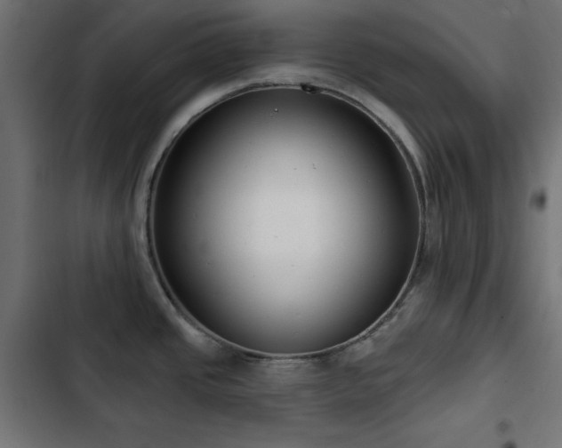 X0000103491437200809121704