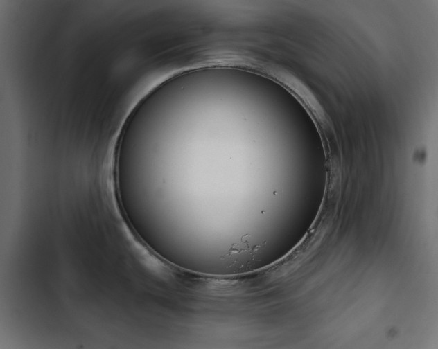 X0000103491439200809121704