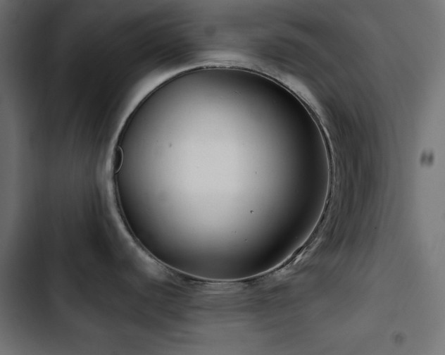 X0000103491440200809121704