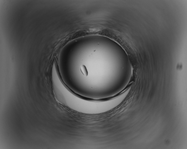 X0000103491441200809121703