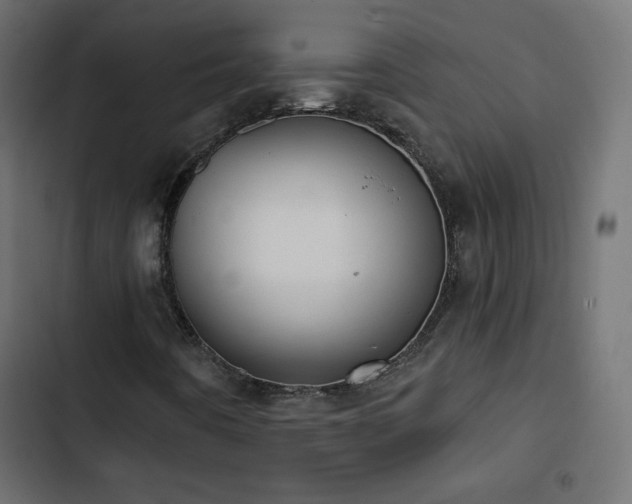 X0000103491442200809121703