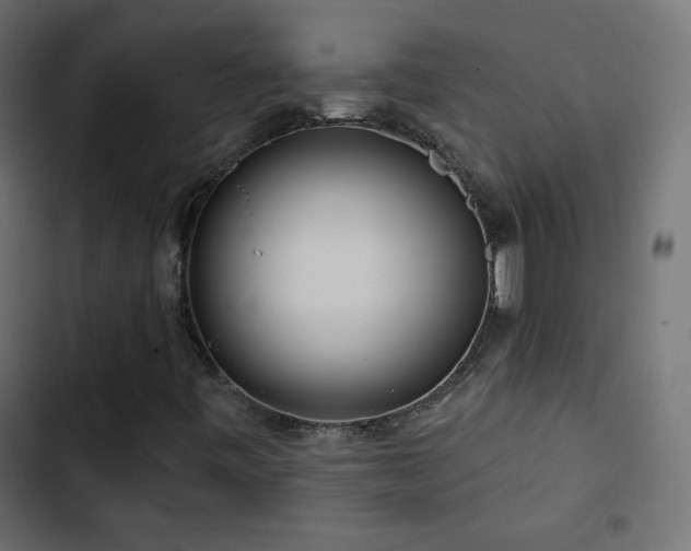 X0000103491443200809121703