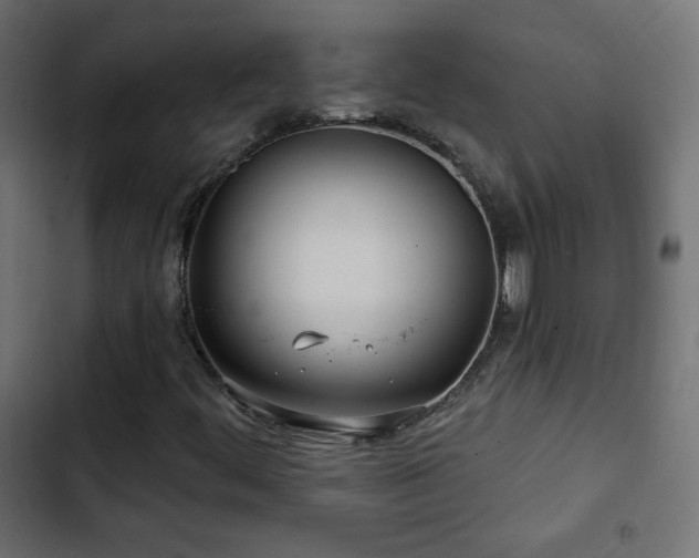 X0000103491444200809121703