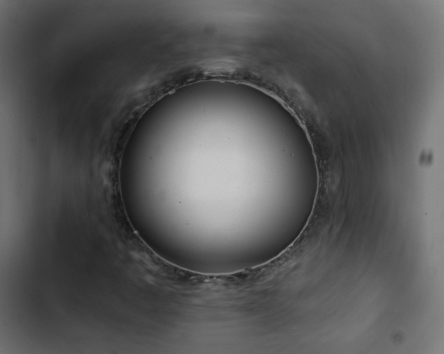 X0000103491445200809121703