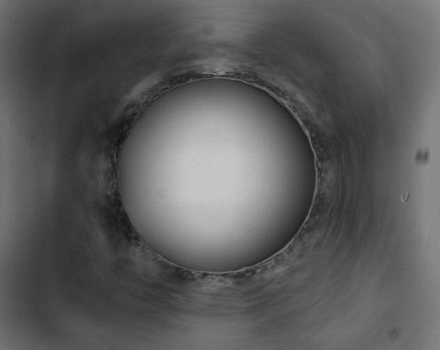 X0000103491446200809121703