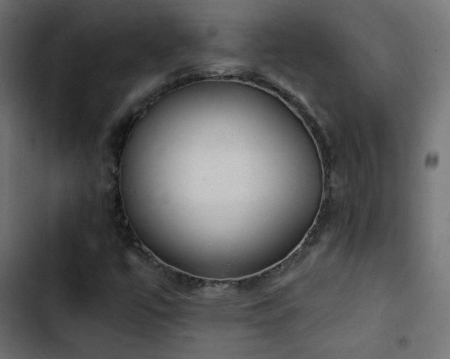 X0000103491447200809121703