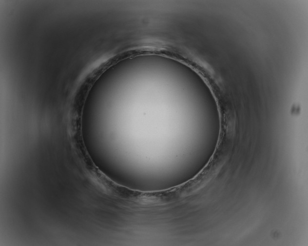 X0000103491448200809121703