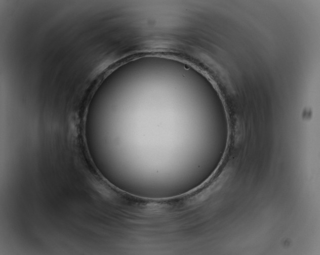 X0000103491449200809121703