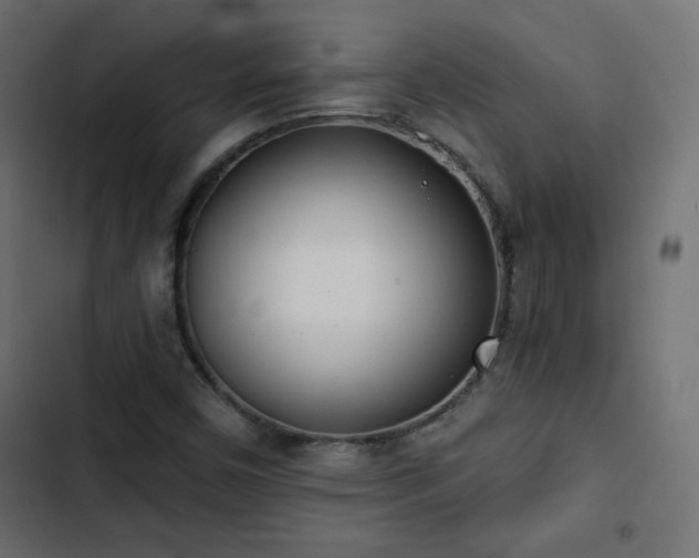 X0000103491450200809121703