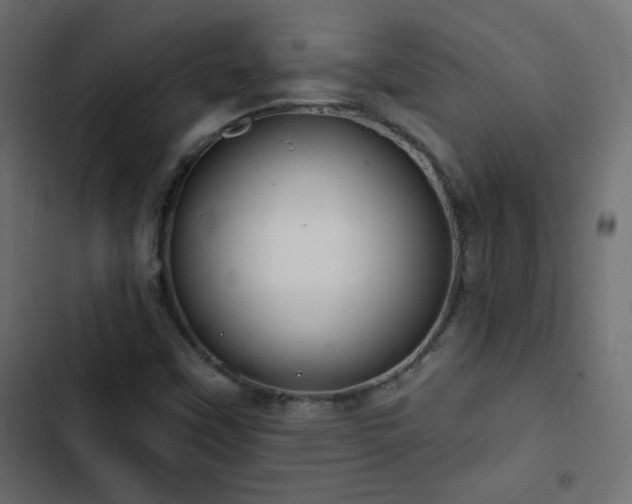 X0000103491451200809121703