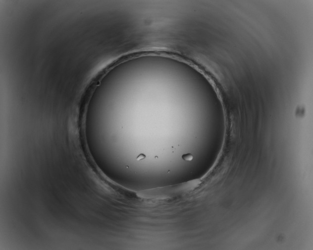 X0000103491452200809121703