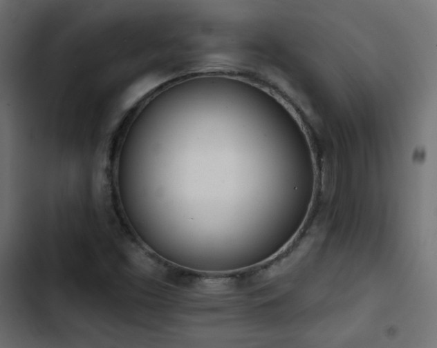 X0000103491453200809121703