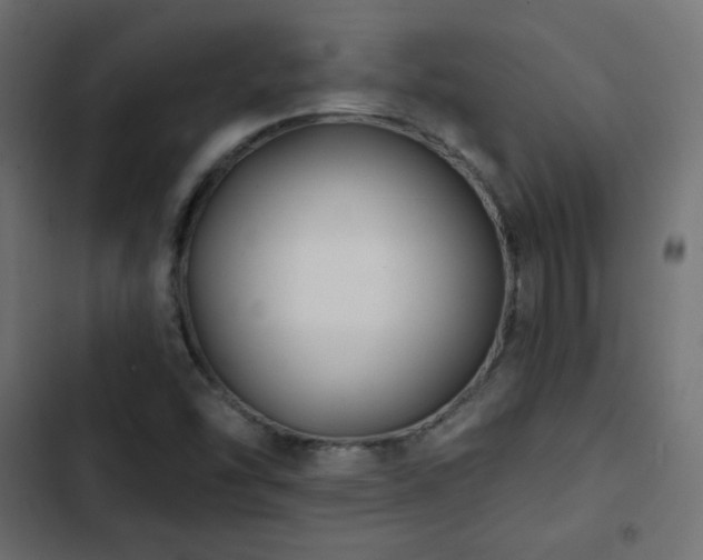 X0000103491454200809121703