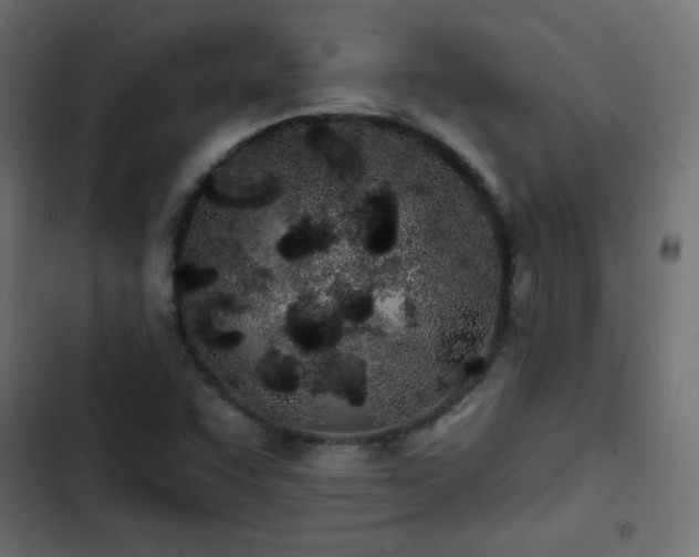 X0000103491455200809121703