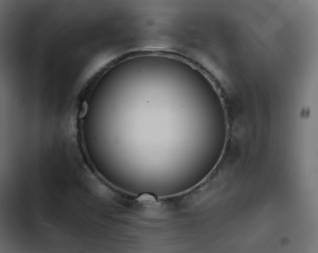 X0000103491456200809121703