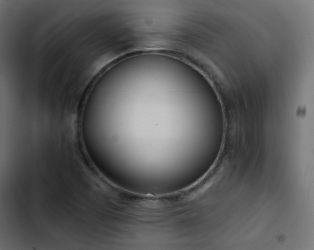 X0000103491457200809121703