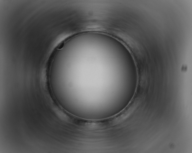 X0000103491458200809121703