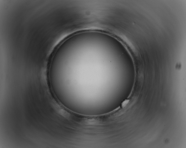 X0000103491460200809121703