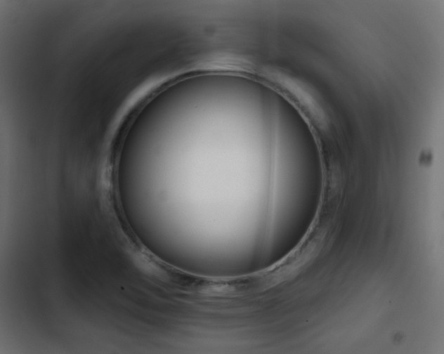 X0000103491462200809121703