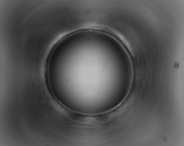 X0000103491463200809121703