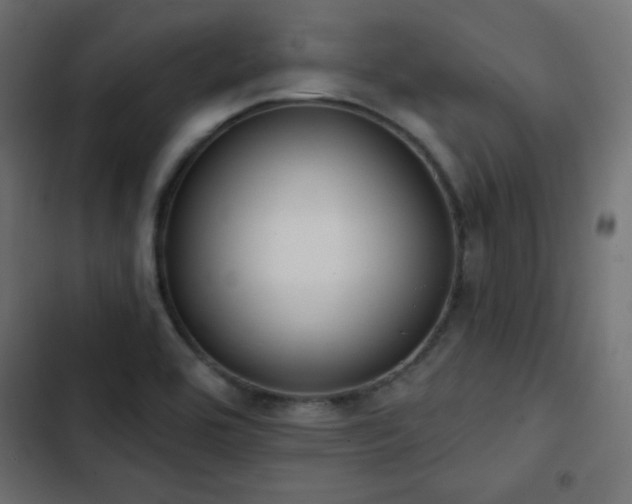 X0000103491464200809121703