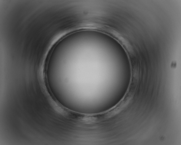 X0000103491466200809121702